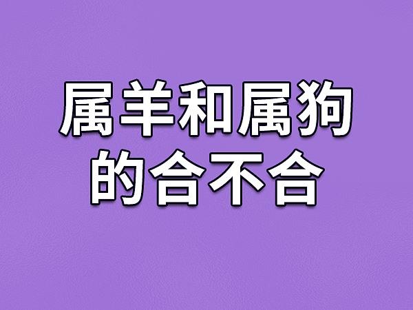 属羊和属狗的合得来吗