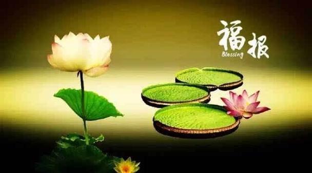 命理分析你何时才能遇到对的人_子非鱼师傅跟你说