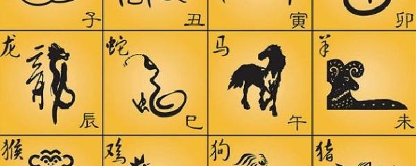 2012年哪个生肖摆脱光棍
