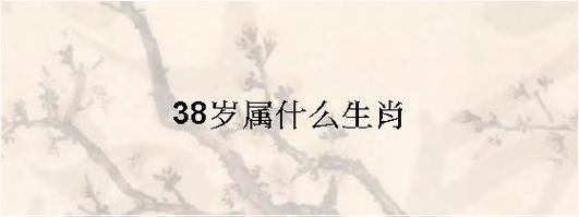 38岁是哪一年出生的