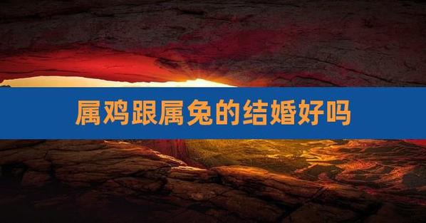 2021年属兔人和属鸡的结婚怎么样