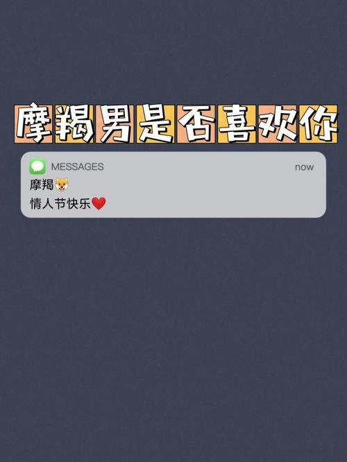 摩羯座男说挺喜欢你的是什么意思