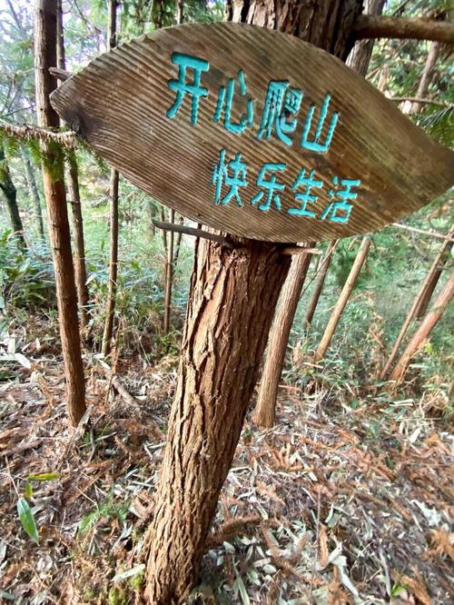 做梦梦见大火烧山林火烧尽山林草原解析
