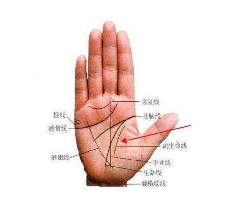 女生事业线止于智慧线,会限制事业的开展!