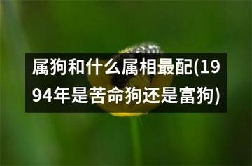 1994年是苦命狗还是富狗