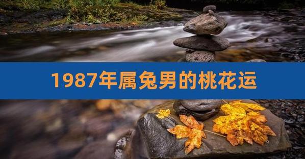 1987年属兔男2021年桃花运好吗
