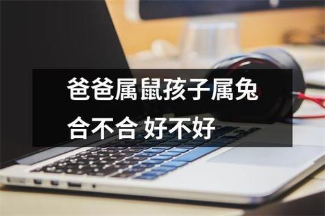 爸爸属鼠孩子属兔好不好,会不会合得来