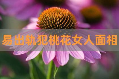 什么女人注定犯桃花