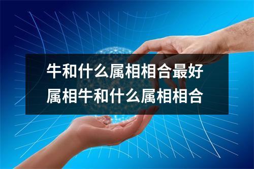 属牛和牛相配吗