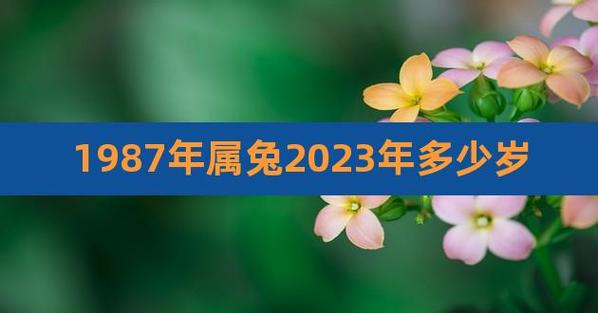 87年属兔最难的几年是什么时候