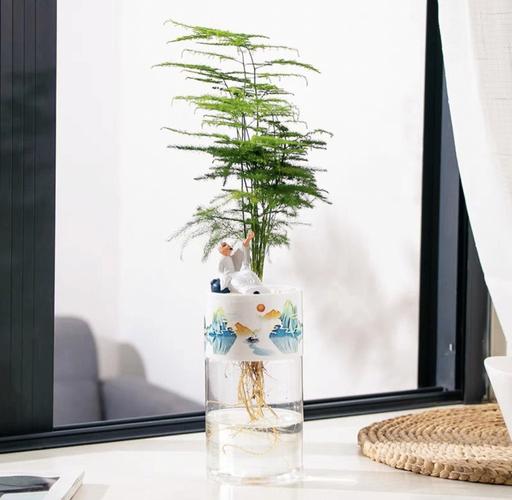 办公室风水植物盆栽的摆放忌讳,怎么摆放好盆栽?