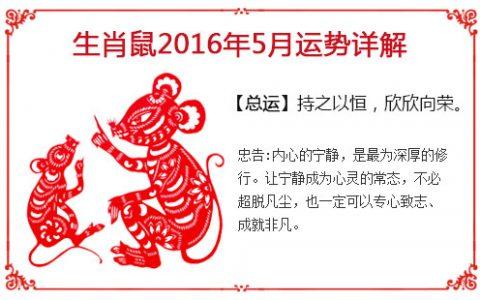 阴历十一月属鸡好吗