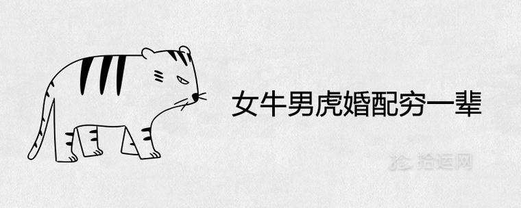 女牛男虎婚配穷一辈