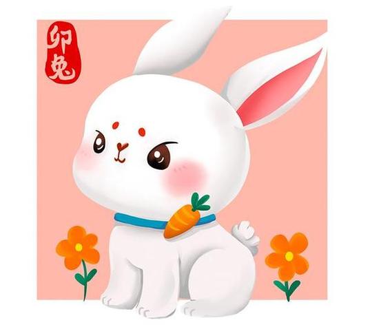 哪些属相最适合成为生肖兔的合伙人