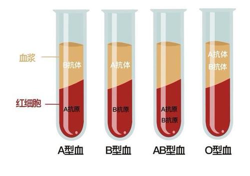 A型血容易被哪些疾病缠上