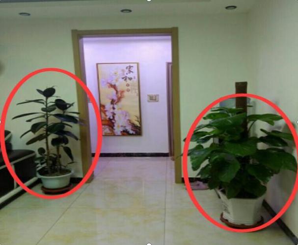 风水用品摆放不佳影响夫妻关系