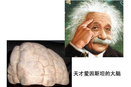 爱因斯坦出的智商测试题