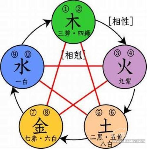 84出生的五行属金还是木