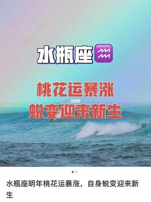 水瓶座失恋后桃花运会更旺