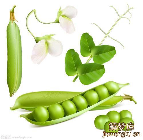 梦见豌豆周公解梦,梦见豌豆是什么意思?