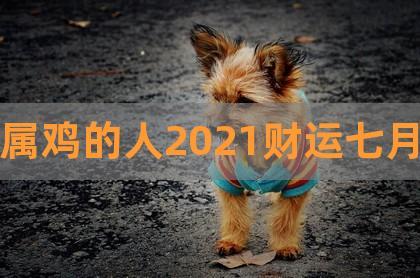 生肖属鸡的人2022年7月事业运