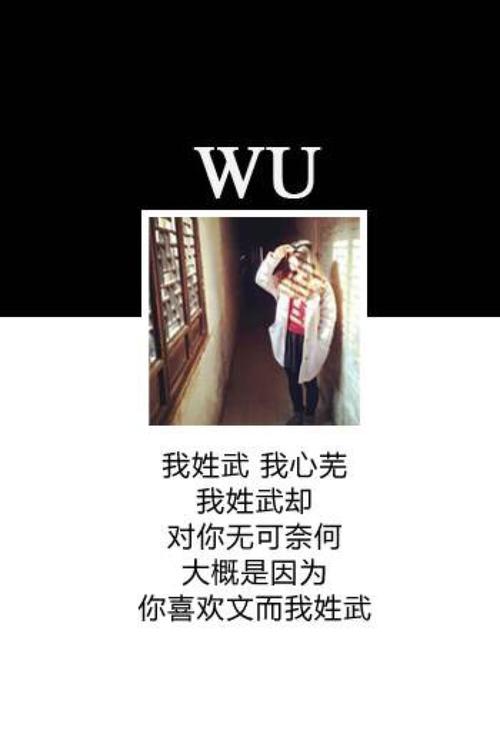 姓武的个性名字