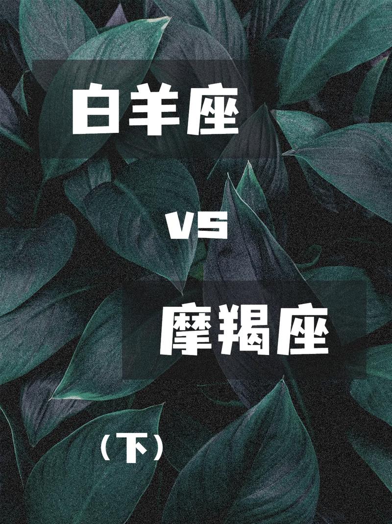白羊座与摩羯座脾气爆炸