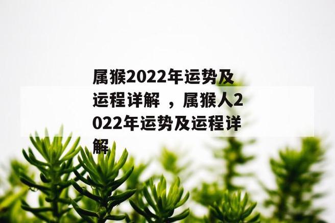 生肖属猴的人2022年8月份财运走势
