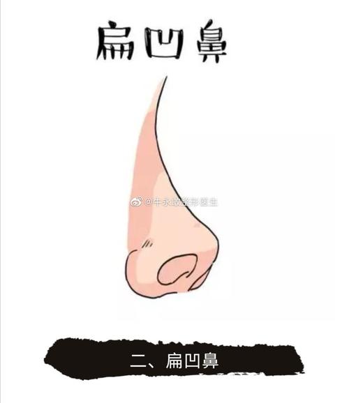 鼻毛和财运情缘之间的联系