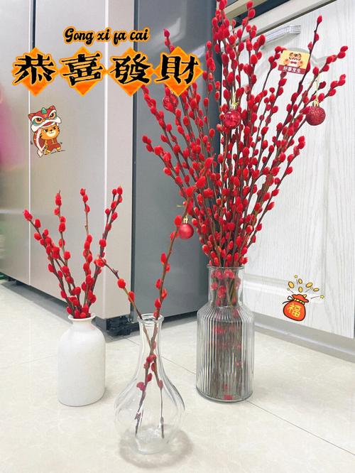 家里摆放银柳符合风水学吗