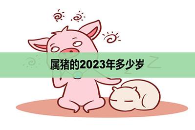 肖猪者2021年十月离职创业好不好