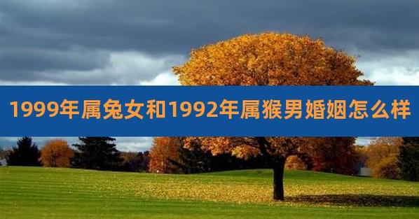 87年兔男和92年猴女合婚吗