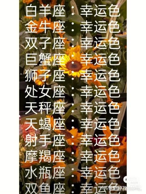 十二星座的健康隐患