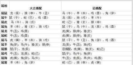 会吵架的生肖配对,很幸福