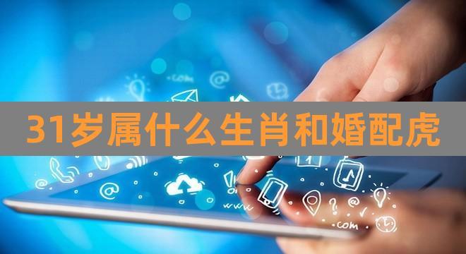 31岁属什么生肖和婚配