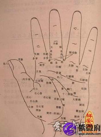 手相中的痣相分析