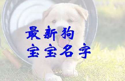 属狗的喻姓女宝宝名字