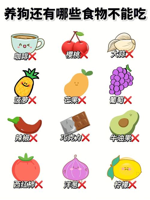 十二星座养什么狗