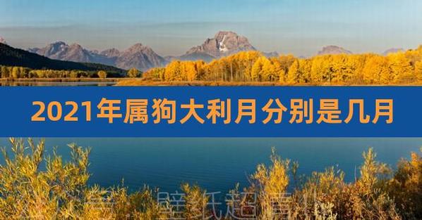 2021属狗哪个月份机遇最多