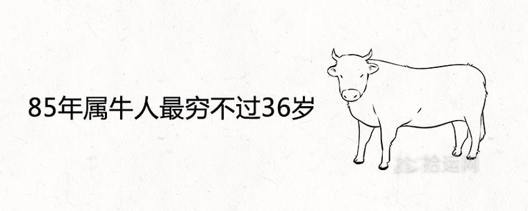 1985属牛再穷也穷不到36岁