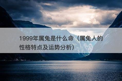 不同月份出生的属兔人命运分析