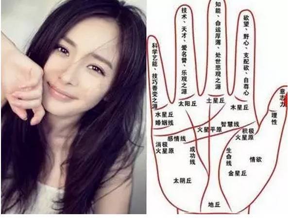长相甜美却是女强人的手相面相特征
