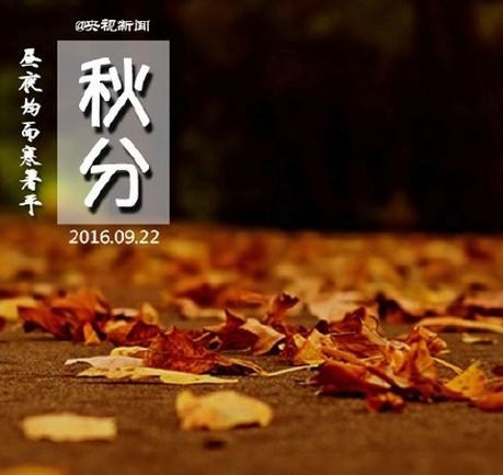 生肖属牛秋分节气出生的人命运解析!秋分出生性格