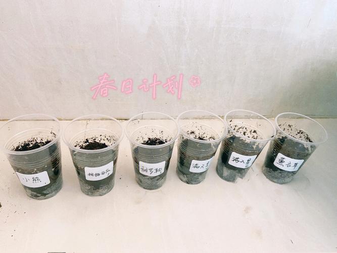 5月下旬情种发芽