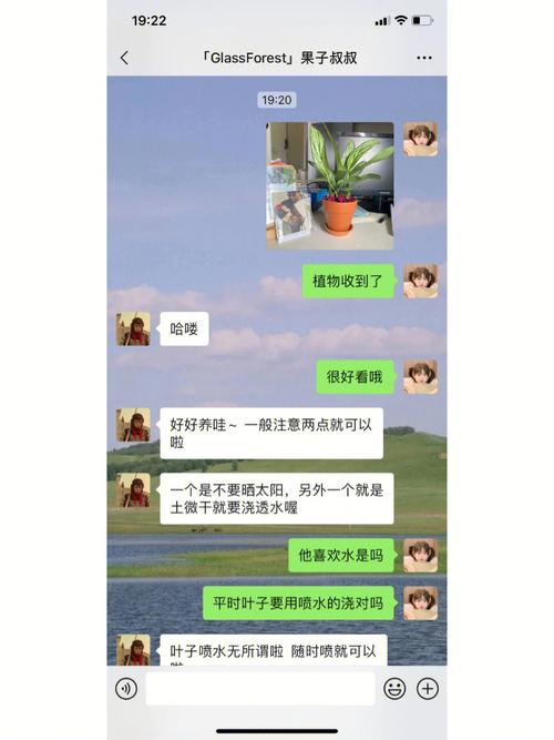 银皇后摆放风水禁忌有哪些