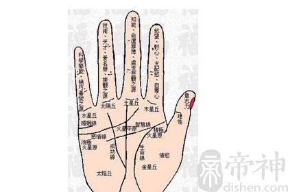 女人手相看左手还是右手