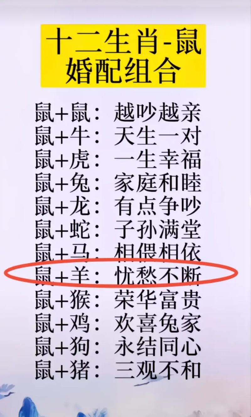 十二生肖谁最会经营自己的感情?
