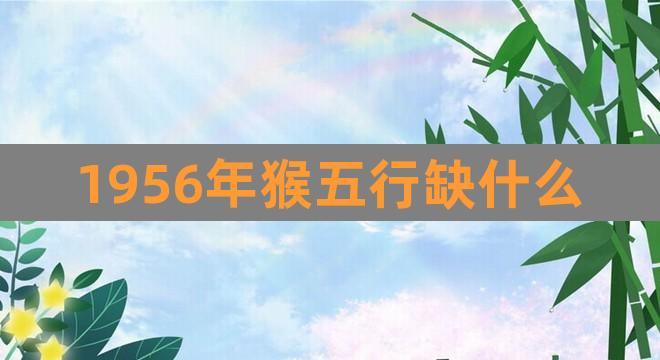 属猴人五行属什么,属猴的五行是什么