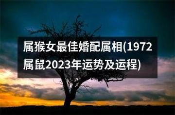 属猴人和属鼠人婚配属于上上等