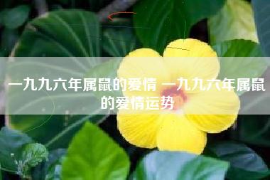 属鼠人的爱情之路